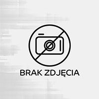 Zestaw VILEDA PROFESSIONAL UltraSpin Mini, wiadro z wyciskarką i podstawą mopa, niebieski
