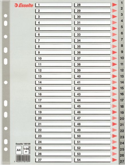 Przekładki Esselte z pp, A4 1-54 kolor szary | eazbiuro.pl | Kup wyjątkowo!
