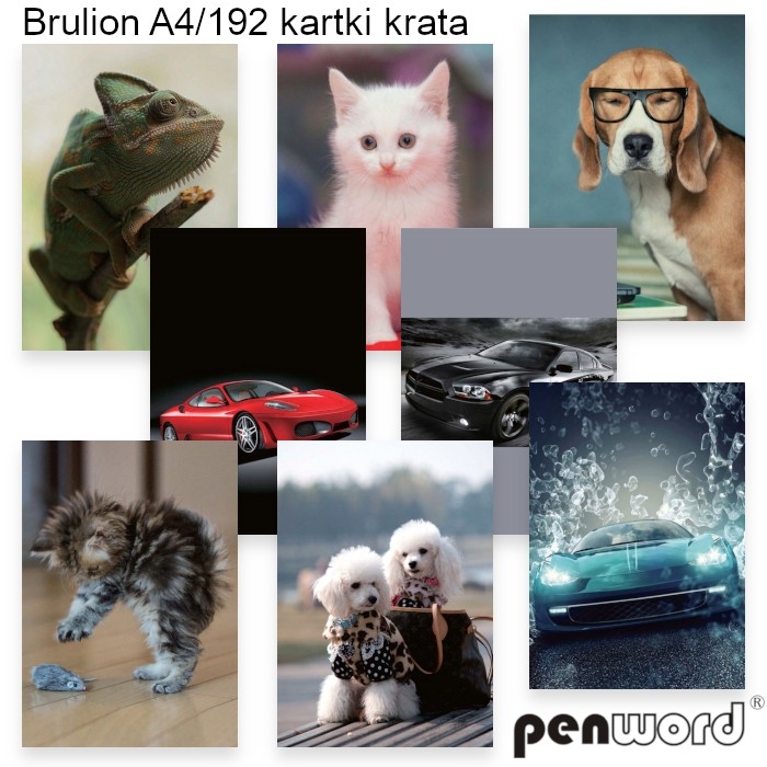 Brulion A4 192 kartki w kratkę Penword