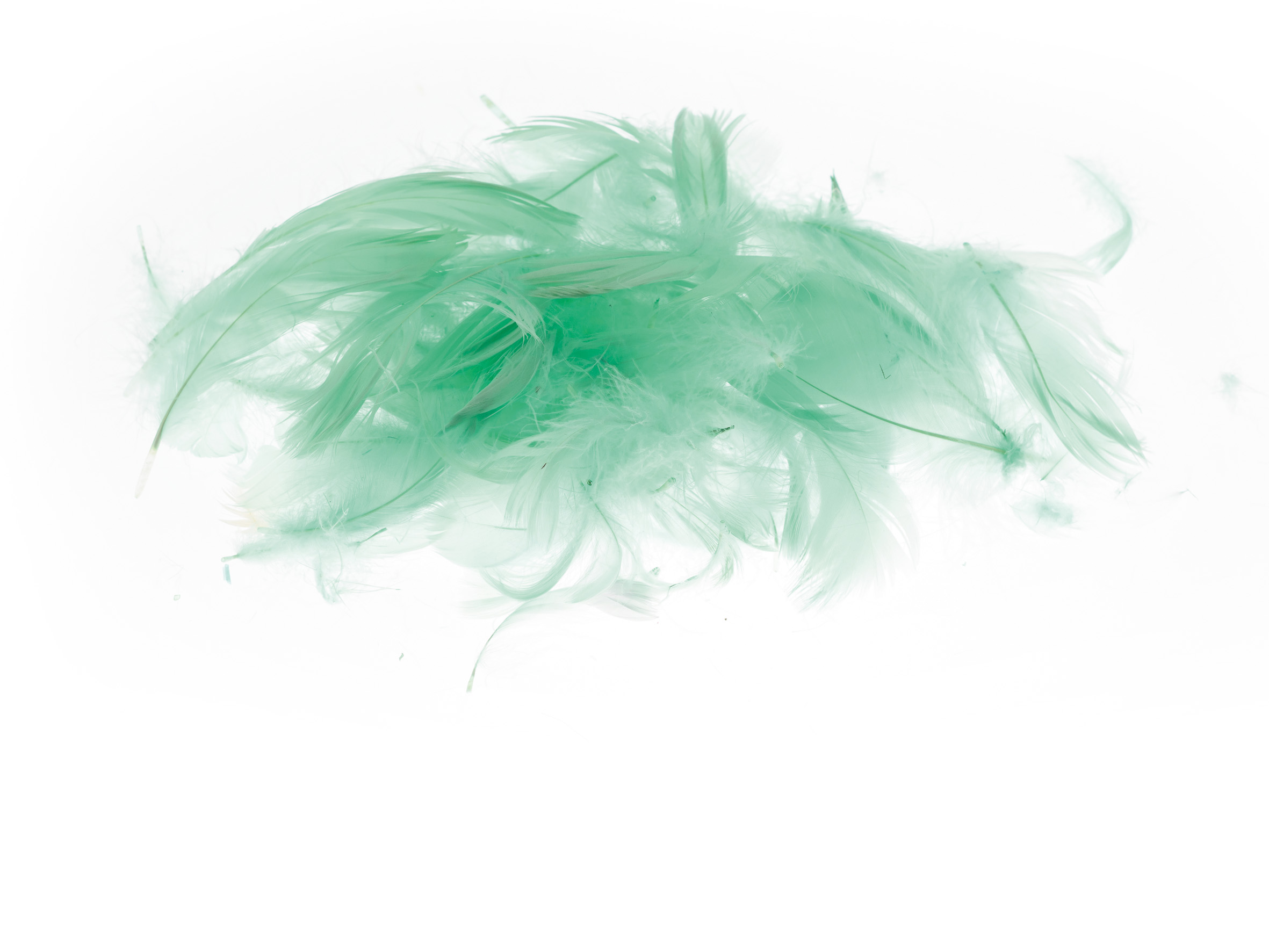 Piórka Brewis 7 g pistacjowe do biura | eazbiuro.pl | Kup już teraz!