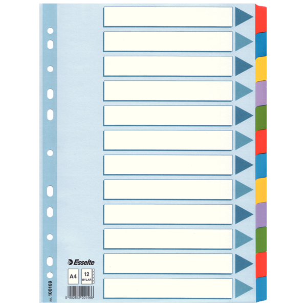 Przekładki Esselte mylar z kartonu, A4 kolor wielobarwny | eazbiuro.pl | Działaj śmiało!