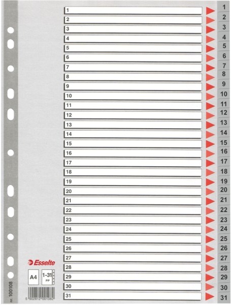 Przekładki Esselte z pp, A4 kolor szary | eazbiuro.pl | Kup od razu!