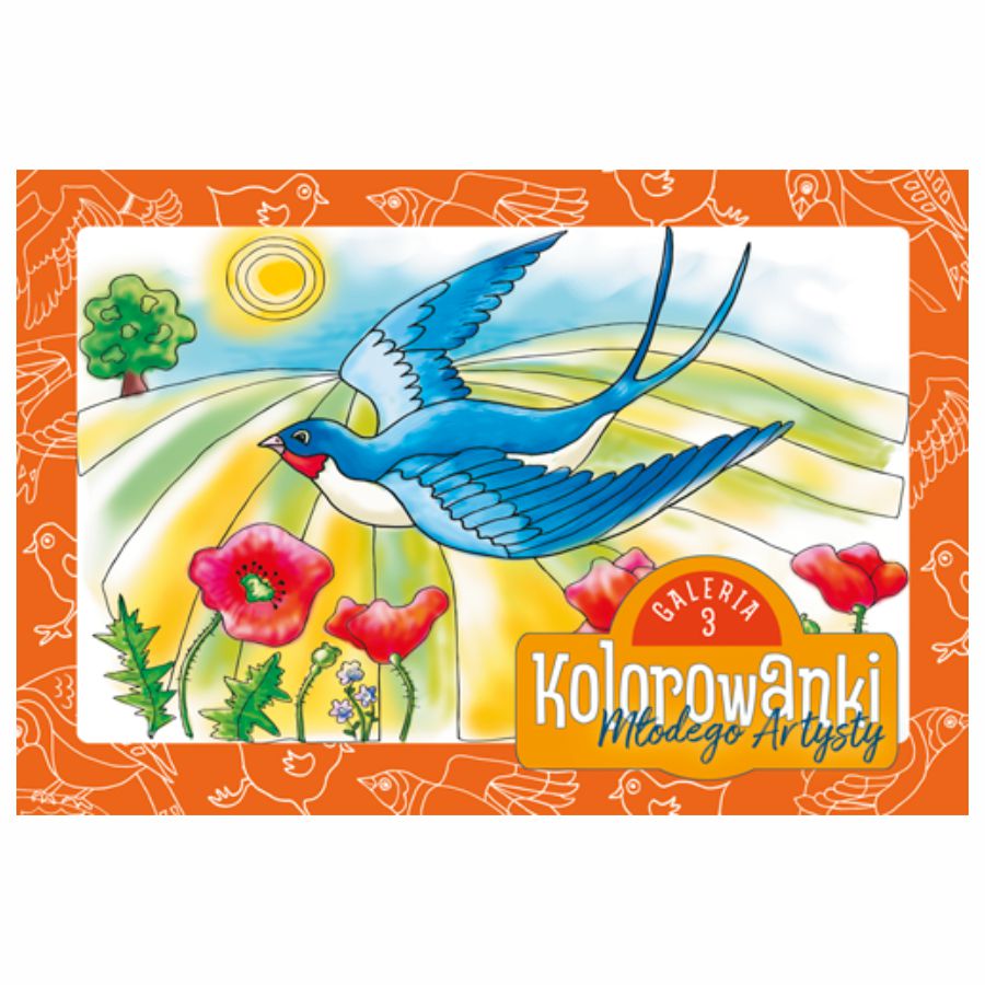 Kolorowanki młodego artysty 4+ B5 ptaki Kolorowanki młodego artysty 4+ B5 ptaki