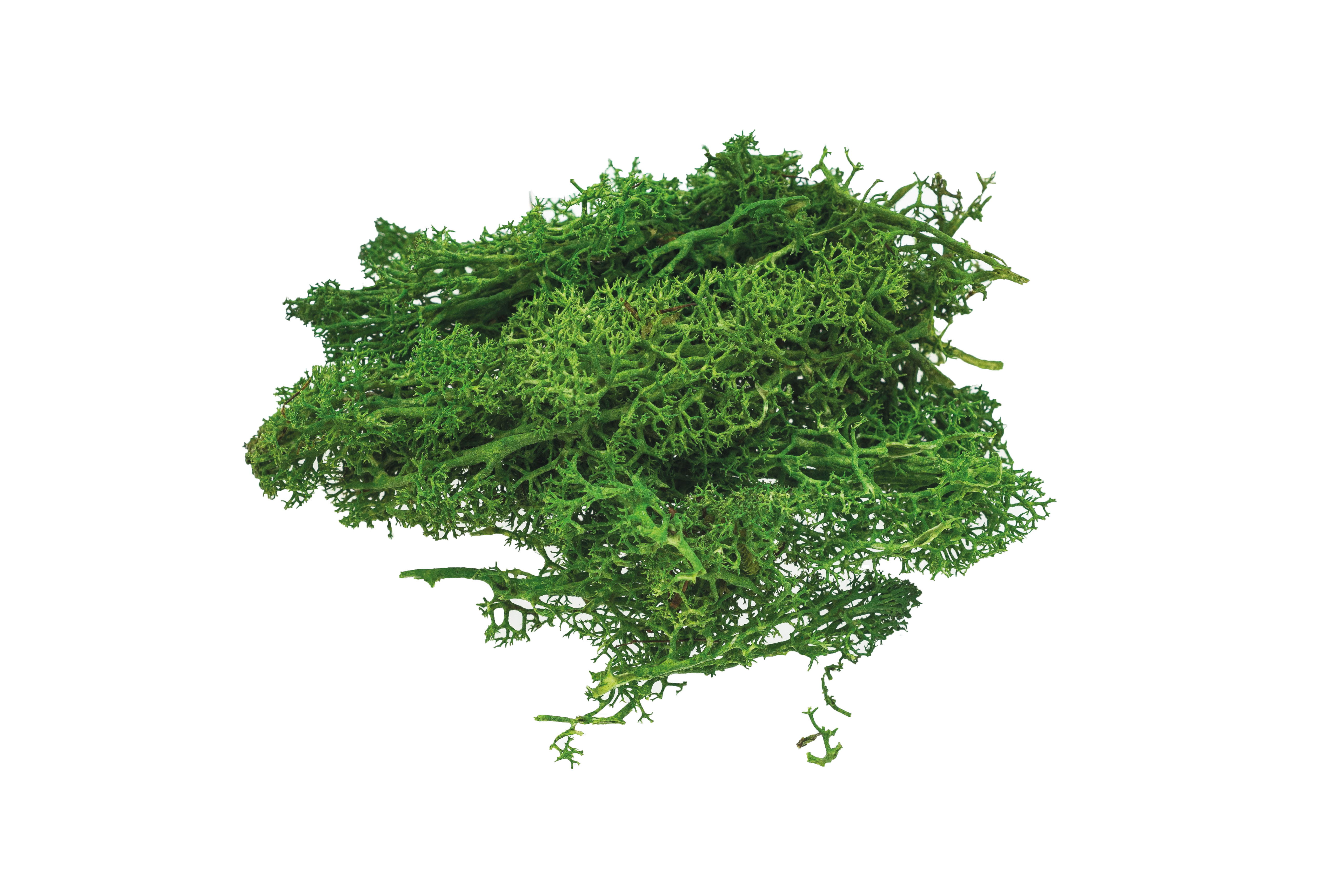 Mech dekoracyjny sztuczny 10 g zielony jasny | eazbiuro.pl | Kup pewnie!