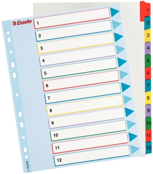 Przekładki Esselte z kartą do wielokrotnego opisu, A4 maxi kolor wielobarwny | eazbiuro.pl | Zamów bez zwłoki!