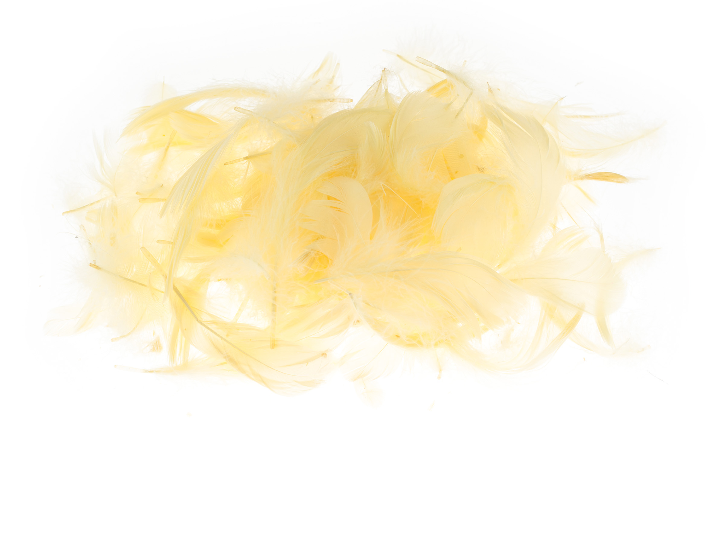 Piórka Brewis 7 g pomarańczowe jasne | eazbiuro.pl | Kup bez wahania!