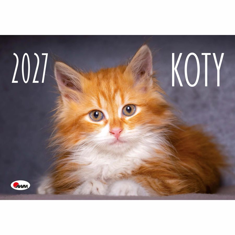 Kalendarz ścienny AWM Koty 12 plansz