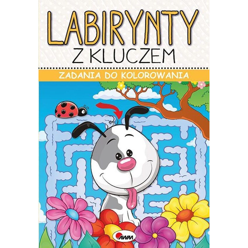 Zadania do kolorowania labirynty z kluczem – książeczka aktywizująca | Kup teraz