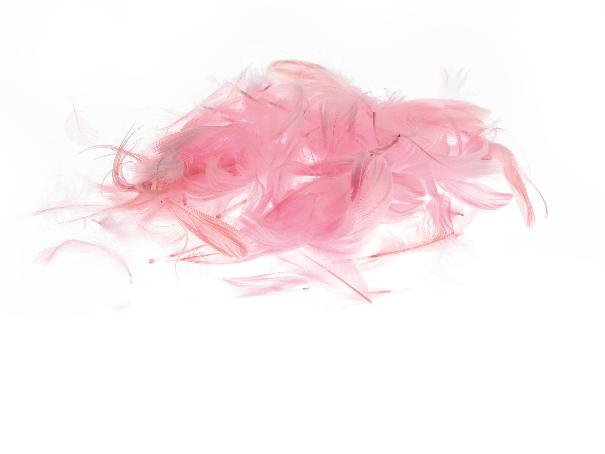 Piórka Brewis 7 g różowe jasne | eazbiuro.pl | Zamów wygodnie!