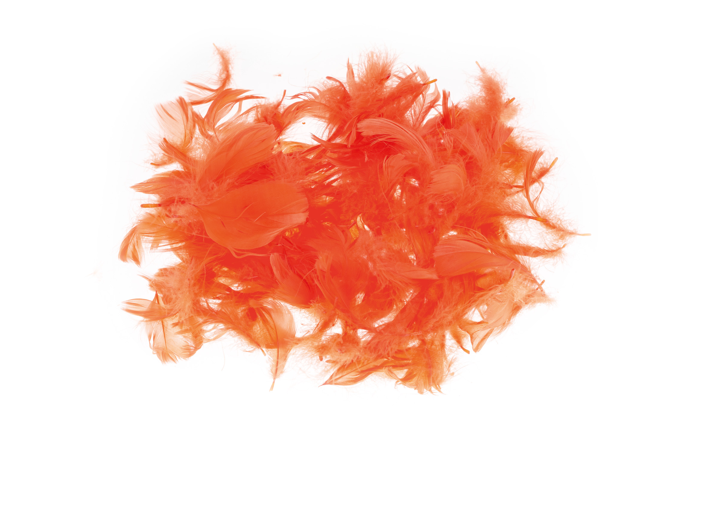 Piórka Brewis 7 g czerwone jasne | eazbiuro.pl | Kup od razu!